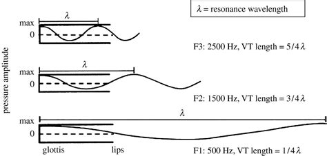 auditory vs acoustic|Acoustic and auditory phonetics: the adaptive design .